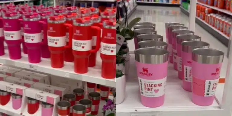 The Craze for the Valentine's Stanley Tumbler: Everything You Need to Know About Why People Are Camping Out at Target