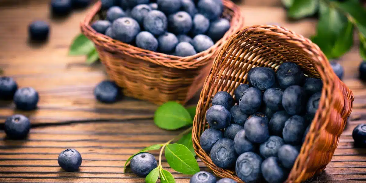 Are these the Top 10 superfoods that will transform your January detox?